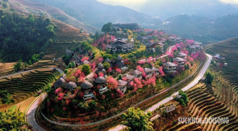 Mùa xuân lên Tây Bắc ngắm hoa tớ dày như lạc vào miền cổ tích- Ảnh 10.