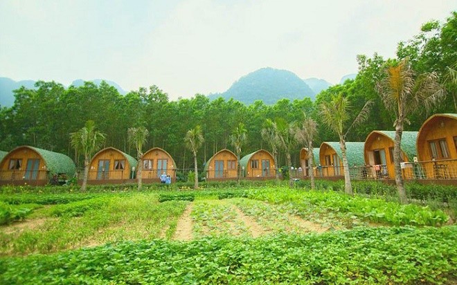 Farmstay G7  mô hình nghỉ dưỡng mới tại Việt Nam  CafeLandVn