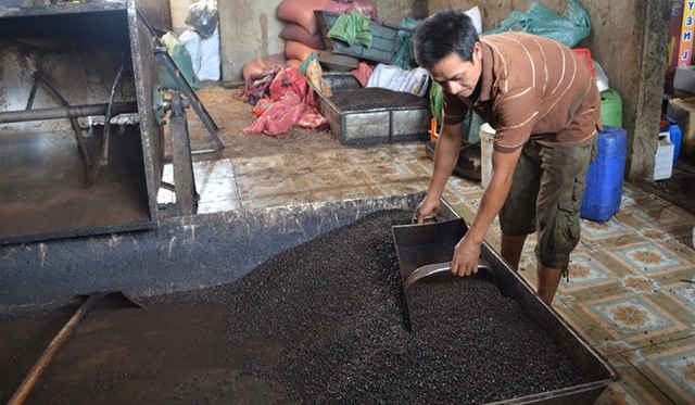  (SỐC) Phát hiện nhiều mẫu cà phê bột không có… cà phê ở Đắk Nông! - Ảnh 1.