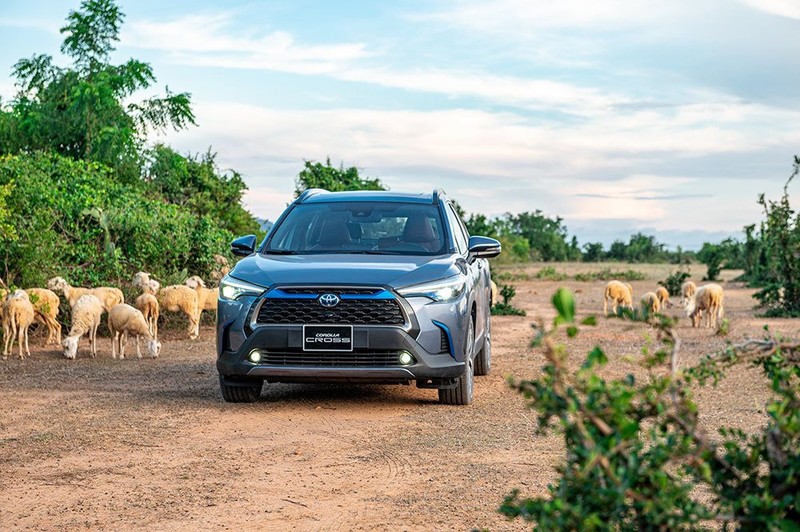 toyota-corolla-cross.jpg