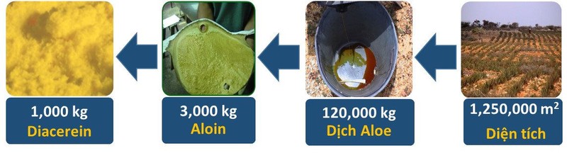 diacerein.jpg