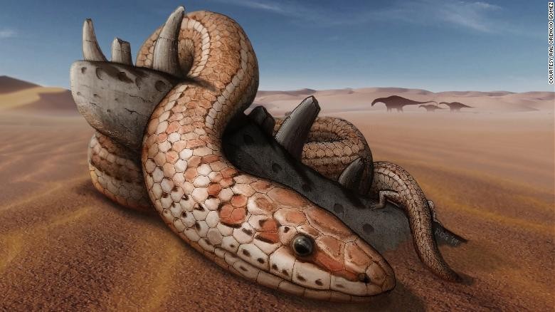 Sửng sốt bí mật của loài rắn cổ hơn 100 triệu năm