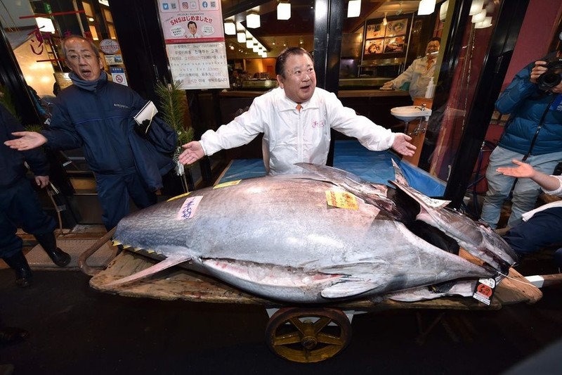 Con cá "khủng", mổ ra đem bán được hơn 41 tỷ đồng