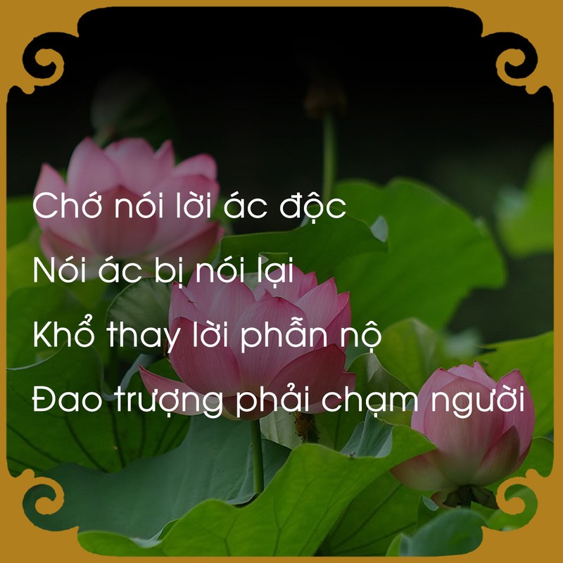 Chiêm Nghiệm Luật Nhân Quả Qua Lời Phật Dạy