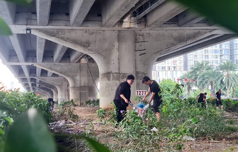 View - 	Hàng trăm người tham gia dọn rác ở Hà Nội 