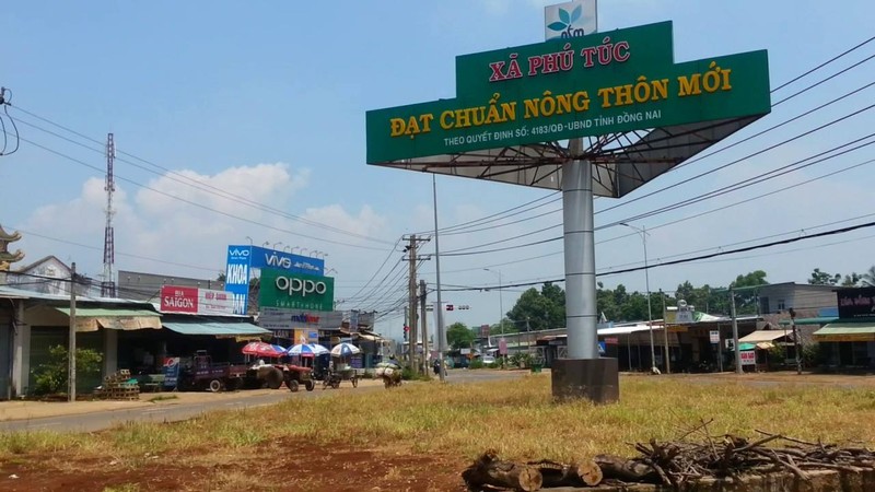 Dong Nai: An Phuoc va nhung goi thau “mot minh mot ngua” tai Phu Tuc