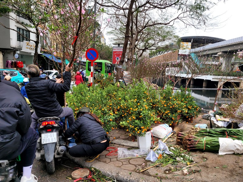 Ha Noi: Tieu thuong cho hoa Tet lo lang, khach hang xem la chinh-Hinh-6