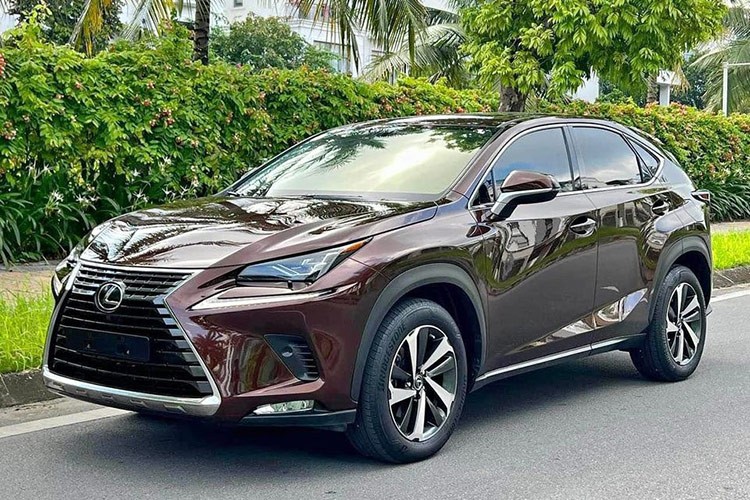 Lexus NX300 2019 chay 5 nam, rao ban hon 1,8 ty o Ha Noi-Hinh-5