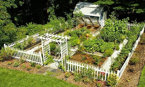 Ngôi nhà vườn rau quả này có lẽ là mơ ước của nhiều người khi về già