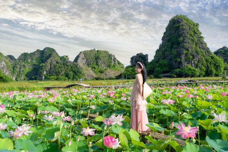 Du khách chen chân chụp ảnh ở đầm sen Hang Múa, Ninh Bình