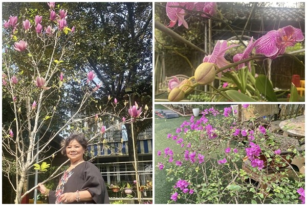 View - 	Khu vườn rực sắc hoa trong biệt thự 1.000m2 của NSND Thanh Hoa