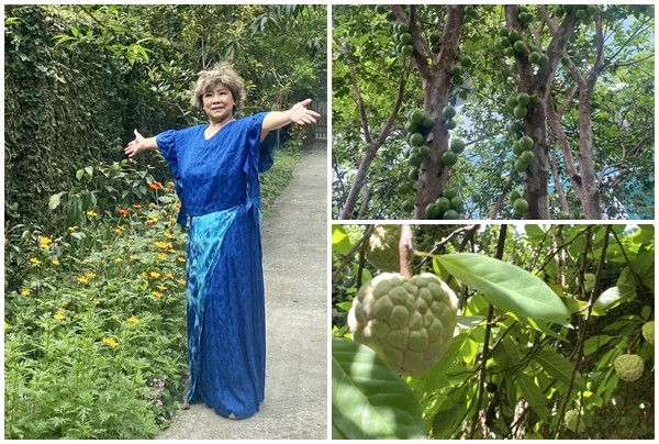 View - 	Lạc lối trong khu vườn trĩu quả “vạn người mê” của NSND Thanh Hoa
