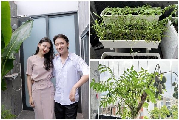 “Moi mat” ngam vuon rau xanh muot trong nha Phan Manh Quynh-Hinh-10