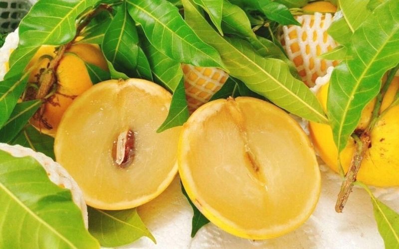 View - 	Quả dại mọc hoang là báu vật, giá gần 700.000 đồng/kg