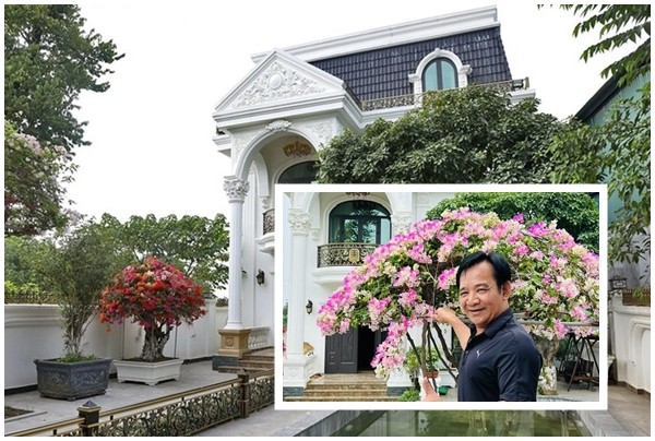 View - 	Cận cảnh nhà vườn 1.000m2 như “lâu đài” của nghệ sĩ Quang Tèo 