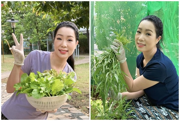 View - 	Khám phá vườn rau xanh mướt trong biệt thự của NSND Trịnh Kim Chi