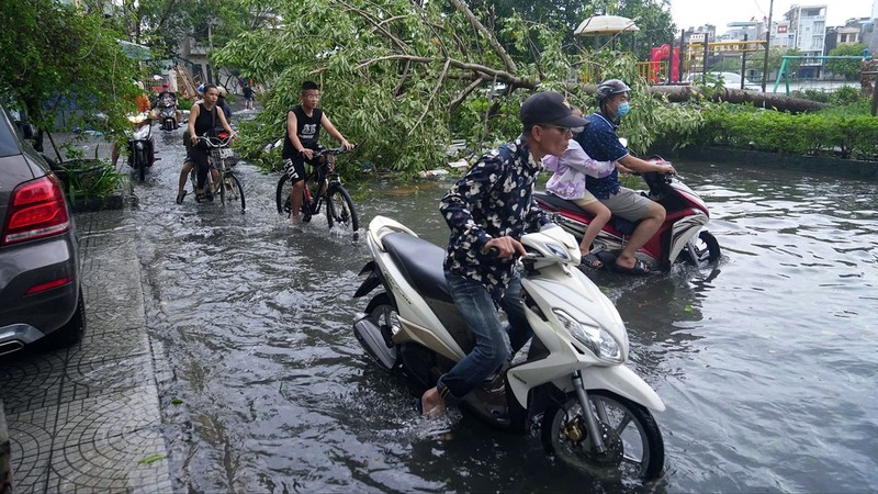 View - 	Hải Phòng Nhiều phố trung tâm ngập sâu cây xanh đổ la liệt