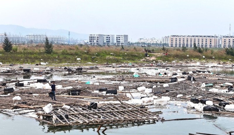 Long be tan hoang sau bao, Ha Long doi mat voi su co moi truong