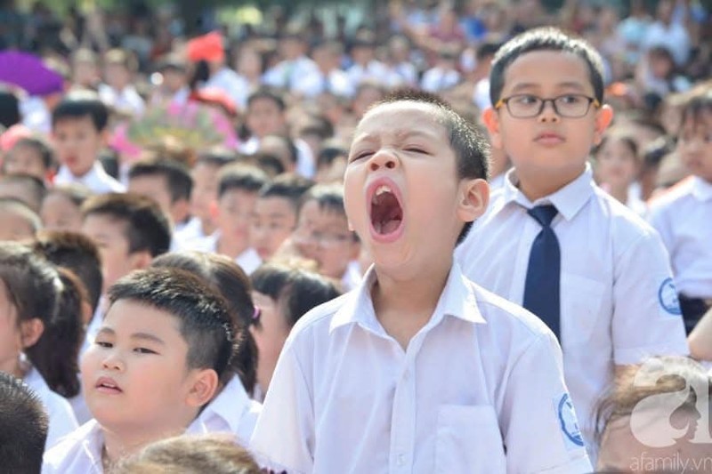 Khoanh khac ngo nghinh cua cac “bup mang non” ngay khai truong-Hinh-6