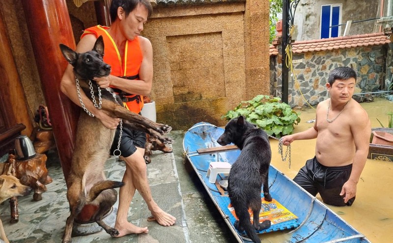 Tan chay truoc loat anh giai cuu dong vat mua lu-Hinh-8