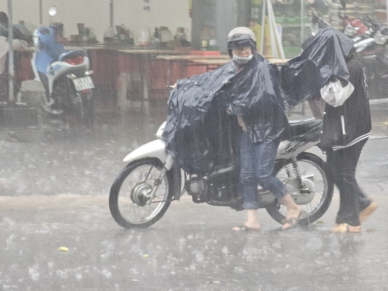 View - 	Cơn mưa “vàng” giữa mùa khô hạn ở Lâm Đồng