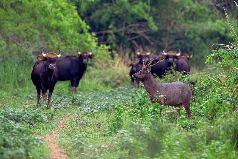 View - 	Đồng Nai sẽ có khu du lịch sinh thái rộng 100.000 ha