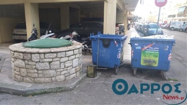Đang cho mèo ăn, người phụ nữ thấy điều bất ngờ trong thùng rác