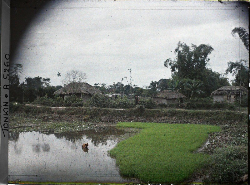 Thich thu cuoc song nong thon Bac Bo trong anh mau tram tuoi (2)-Hinh-8