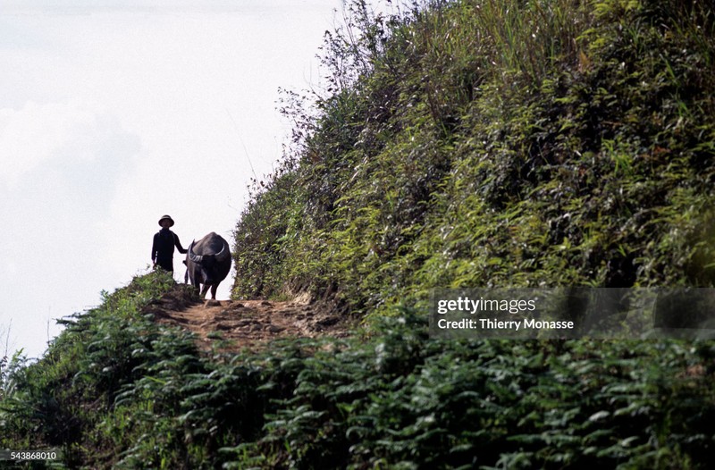 Loat anh khong the khong xem ve Sa Pa nam 1997-Hinh-11