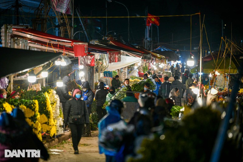 View - 	Giá rét, chợ hoa lớn nhất ở Hà Nội họp xuyên đêm