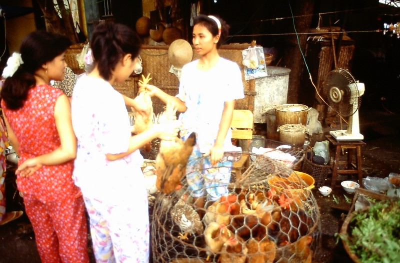 Loat anh “song dong day” ve khu pho co Ha Noi nam 1995-Hinh-5