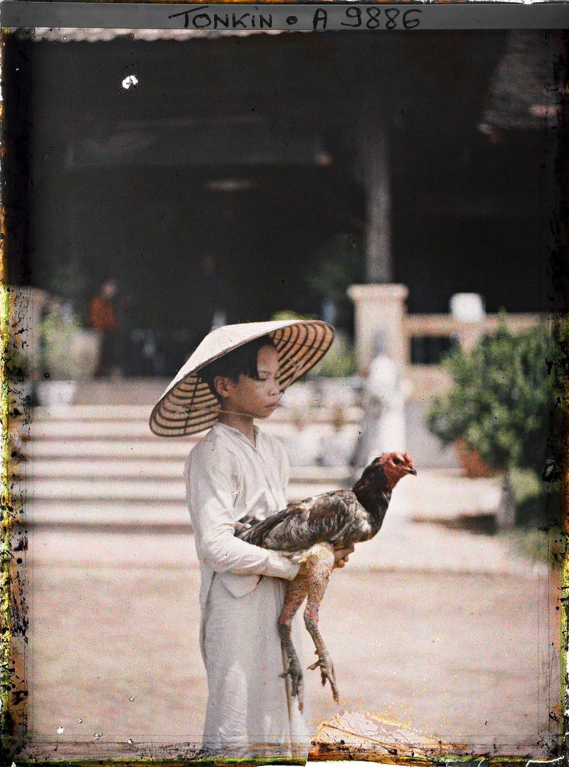 Anh mau cuc quy ve doi song vung nong thon Ha Noi 1914-1915-Hinh-7