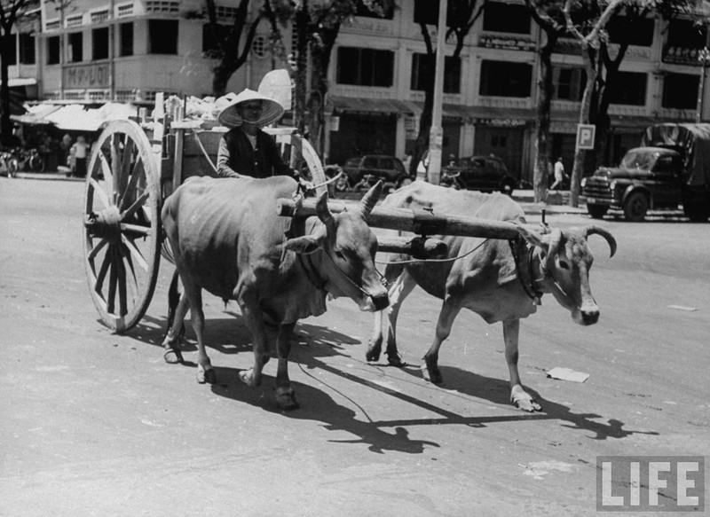 Hinh doc ve canh muu sinh tren duong pho Sai Gon nam 1950-Hinh-5