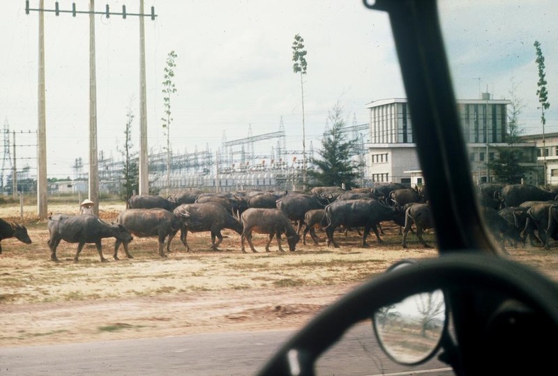 Loat anh thu vi ve giao thong o Sai Gon nam 1965-Hinh-11