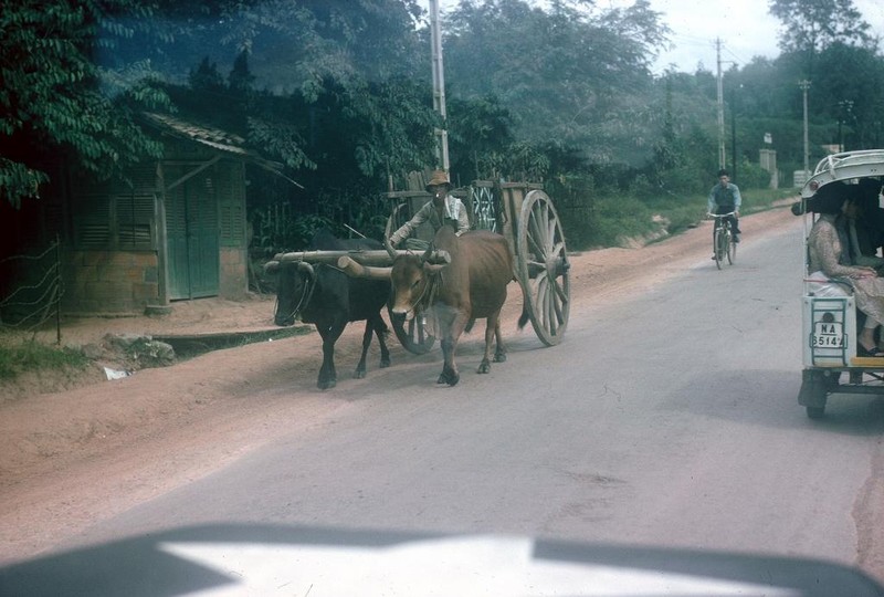 Loat anh thu vi ve giao thong o Sai Gon nam 1965-Hinh-12