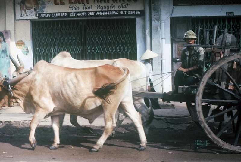 Loat anh thu vi ve giao thong o Sai Gon nam 1965-Hinh-5