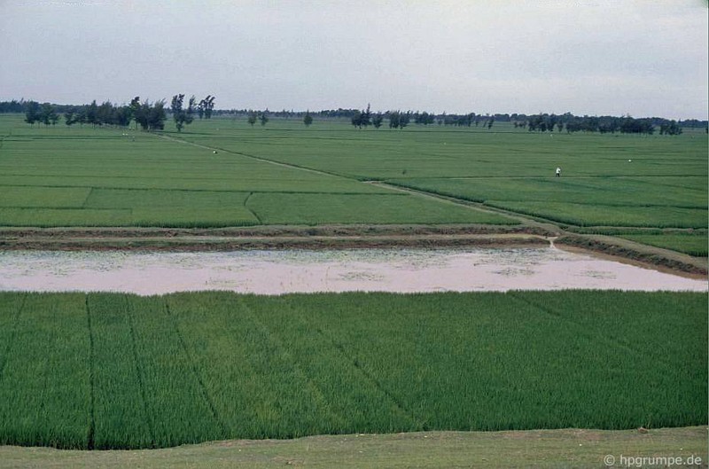 Loat anh de doi ve ngoai thanh Ha Noi nam 1991-Hinh-10