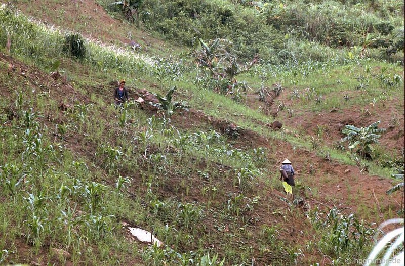 Loat anh dac biet ve duong Ho Chi Minh nam 1992-Hinh-10