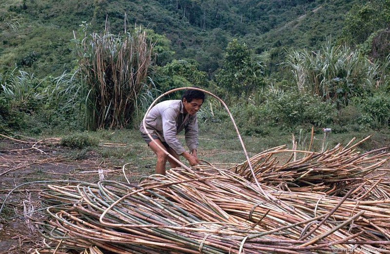 Loat anh dac biet ve duong Ho Chi Minh nam 1992-Hinh-5