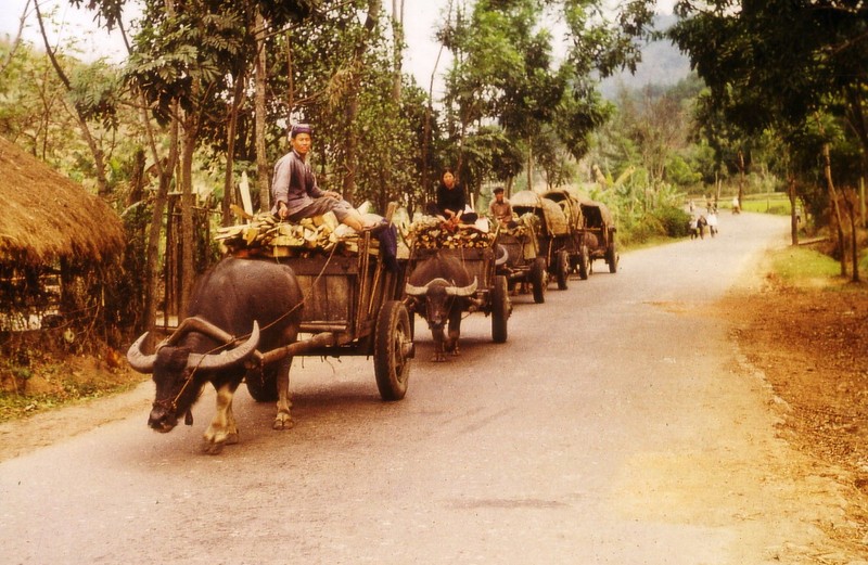 Anh day hoai niem ve nong thon mien Bac nam 1973-1974-Hinh-9