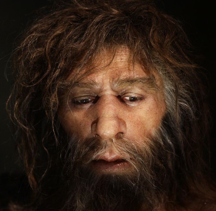 Dieu gi xay ra neu loai nguoi Neanderthal ton tai den ngay nay?-Hinh-3