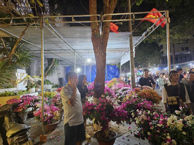 View - 	Đắk Lắk Tiểu thương đồng loạt giảm giá hoa xuân người mua lác