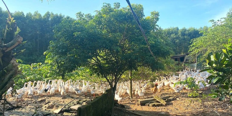 Bien vung doi kho can soi da thanh trang trai tien ty