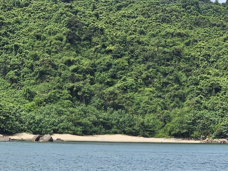 View - 	Bãi Cát Vàng Thiên đường biển hoang sơ dưới chân núi Khỉ