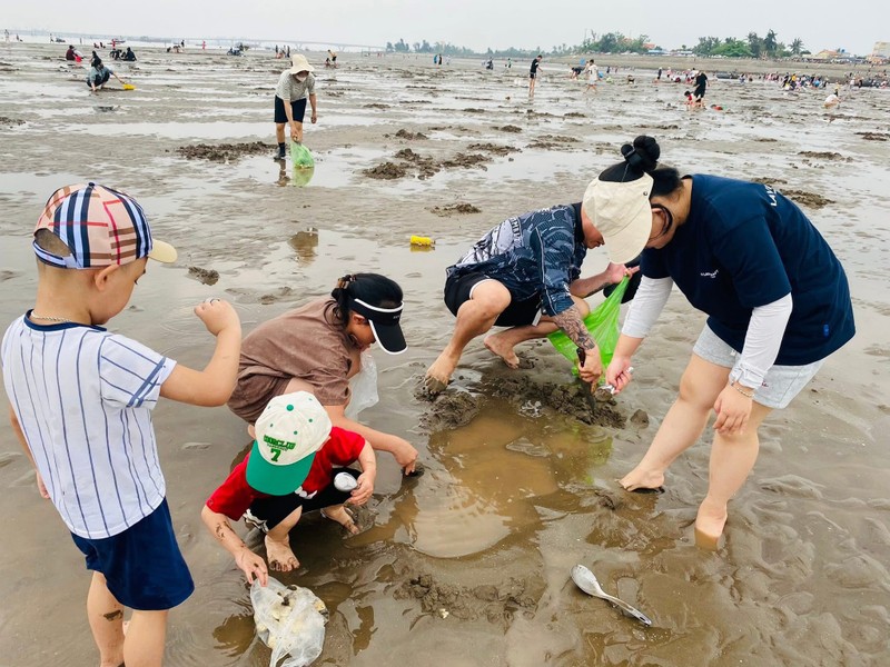 View - 	Cào ngao ở bãi Hoàng Châu có gì thú vị mà hút đông khách