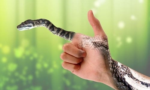 Hãy nhìn vào bức ảnh rắn và cảm nhận sự đẹp đẽ của loài vật này với họa tiết sặc sỡ trên thân cơ thể. Nếu bạn là một fan của thú vật và muốn tìm hiểu thêm về rắn, hãy tham khảo bức ảnh này để có được trải nghiệm thú vị.