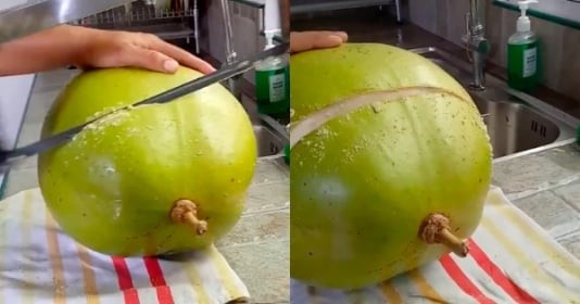 Quả gì giống quả dừa mà thường được dùng trong chế biến món tráng miệng?
