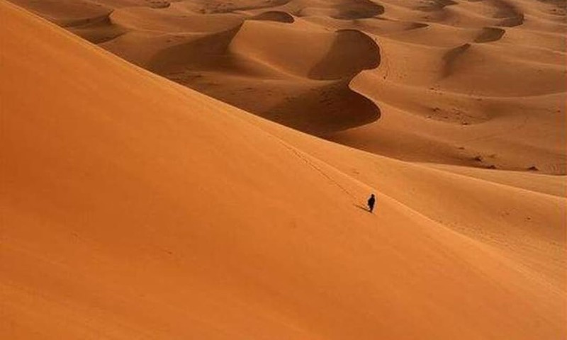Hà Tĩnh Mô hình chống sa mạc hóa bị sa mạc hóa  DIỄN ĐÀN PHÁP LUẬT