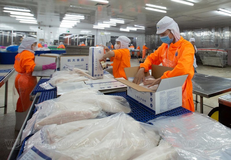 View - 	Lợi nhuận 2023 Thủy sản Nam Việt chỉ đạt 10,9% kế hoạch