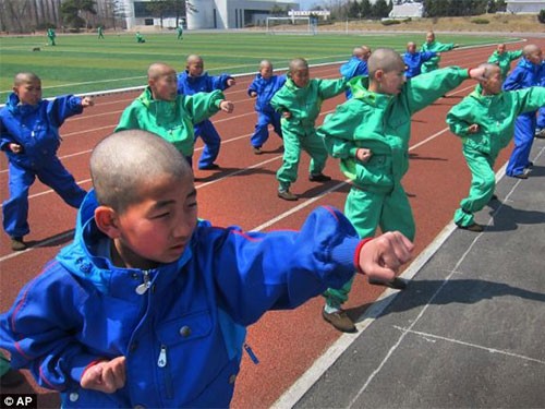 Các bé cạo tóc gọn gàng và luyện tập taekwondo rất nghiêm túc tại